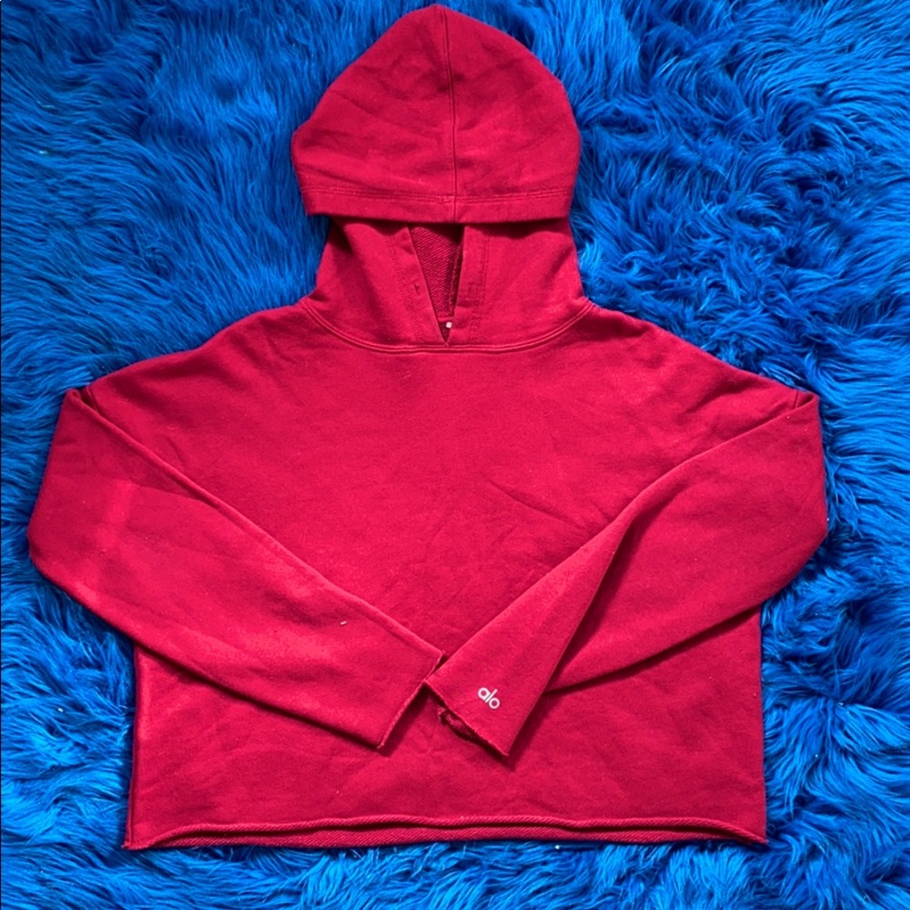 ALO Hoodie Sweatshirt